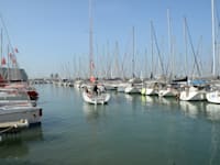 המרינה בהרצליה. צפוי גל נוסף של עולים עם ''כיסים עמוקים'' לישראל / צילום: איל יצהר