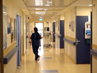 בית חולים שיבא / צילום: איל יצהר