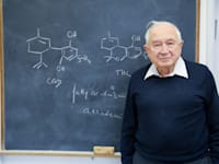 פרופ' רפאל משולם / צילום: רפי קוץ