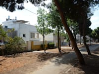 פארק החורשה / צילום: איל יצהר