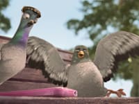 אלי פיניש + טל פרידמן-פרסומת ביטוח ישיר- יונים / צילום: יח''צ