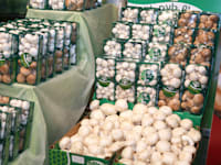 פטריות של חברת מרינה / צילום: עינת לברון