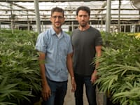 קובי מולכו ושחר בר דוד, בטר קנאביס / צילום: אייל פישר