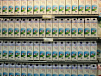 חלב תנובה / צילום: עינת לברון