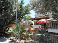 מסעדת הפיל / צילום: תמר מצפי