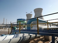 בזן / צילום: איל יצהר