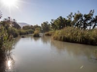 נחל האסי ליד קיבוץ ניר דוד / צילום: כדיה לוי