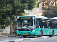 אוטובוס של אגד. בסך הכל התעריפים מתייקרים / צילום: שלומי יוסף