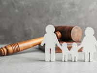 מאבק משמורת / צילום: Shutterstock