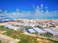 מרלו''ג בחיפה. עלייה של עשרות אחוזים / צילום: יח''צ