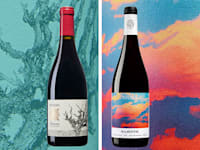 מימין: מג׳סטיק של דלתון, רזרב קריניאן של רקאנטי / צילום: עמרי מירון, אורי גרון