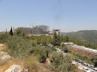בית חולים הדסה עין כרם ירושלים / צילום: איל יצהר