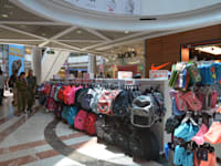 יוקר המחיה הגיע גם לשוק החזרה ללימודים / צילום: תמר מצפי