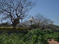 גן אירועים , קדמת עדן , קדימה / צילום: תמר מצפי