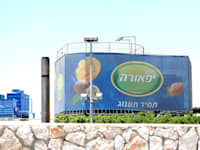 מפעל יפאורה ברחובות / צילום: אייל פישר