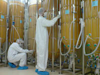 ביו ראקטורים של חברת פרוטליקס / צילום: יח"צ