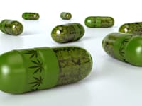 פיתוח תרופות על בסיס צמח הקנאביס / צילום: Shutterstock