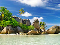 איי סיישל / צילום: Shutterstock