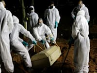 בית קברות בסאו פאולו. ההלוויות נמשכות אל תוך הלילה / צילום: Associated Press, Nelson Antoine