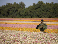 חייל צה"ל צועד בשדה סמוך לעזה / צילום: Reuters, Amir Cohen