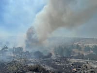 השריפה בצור הדסה היום / צילום: דוברות כבאות והצלה