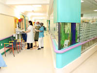 בית החולים לילדים שניידר / צילום: דוברות מרכז שניידר