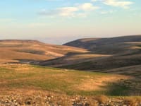 שדה בריר / צילום: גילי סופר