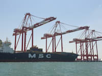 נמל המפרץ בחיפה / צילום: גיא ליברמן