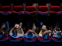 אולם קולנוע. העתיד אינו רק בסרטים / צילום: Shutterstock