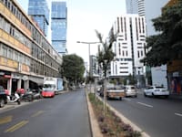 עלינו לקחת בחשבון שאם לא נשתול במשך שנה שלמה עצים ברחבי הערים, בהכרח כולנו נשלם מחיר סביבתי / צילום: כדיה לוי