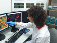 קדימהסטם / צילום: יח''צ