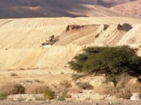 בקשה לאישור תביעה כייצוגית שעוסקת בזיהום סביבתי נרחב שנגרם למעיינות עין צין ועין עקרבים בנגב / צילום: רועי גלילי