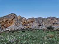 הארבל / צילום: אורלי גנוסר