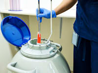 הקפאת ביציות / צילום: Shutterstock, Viacheslav Lopatin