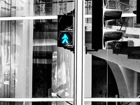 תמונת מצב של האי-שיווין / אילוסטרציה: טלי בוגדנובסקי