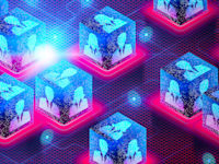 דאטה בארגון / אילוסטרציה: Shutterstock