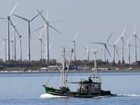 טורבינות רוח בים הצפוני בדנמרק / צילום: Associated Press, Heribert Proepper