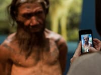 אדם ניאנדרטל מתוך התערוכה ''בריטניה: מיליון שנה של הסיפור האנושי'', 2014 / צילום: Reuters, Will Oliver
