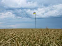 שדה חיטה ליד קייב, אוקראינה / צילום: Associated Press, Nariman El-Mofty