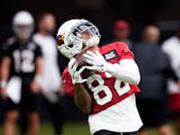 משחק פוטבול של Arizona Cardinals ב-NFL / צילום: Associated Press, Ross D. Franklin