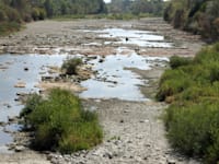 נהר גארון בדרום צרפת. הבצורת פוגעת גם בטבע / צילום: Reuters, Aventurier Patrick/ABACA