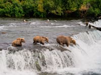 מנטור / צילום: Unsplash, Pradeep Nayak