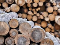 עצים להסקה / צילום: Shutterstock