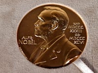 פרס נובל / צילום: Associated Press, Angela Weiss