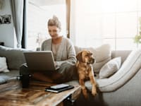 עבודה מהבית / צילום: Shutterstock