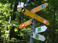 הרווארד בגלובס. איך יודעים באיזו פלטפורמה נכון למותג שלך למכור / צילום: Unsplash