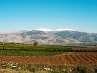 נוף הר החרמון המשתקף ממתחם המלונות החדש / צילום: יובל מלכה