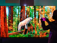 הטלוויזיה האלחוטית של LG / צילום: AP - Jack Dempsey