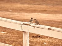 הרווארד בגלובס. על הדרך הנכונה לעשות נטוורקינג / צילום: Unsplash, Ignacio Amenábar