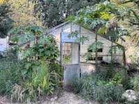 חממה בחוות הנוי. תיירות חקלאית–קולינרית ברוח התקופה / צילום: לימור ארליכמן